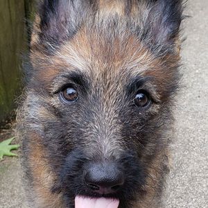 Meet your Posher, Carol